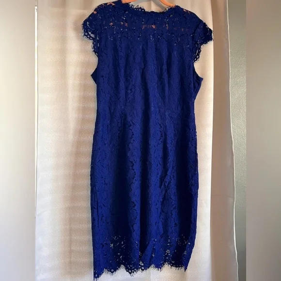 NWT l Beautiful Merokeety Vibrant Blue Lace Dress! XL - Picture 3 of 10